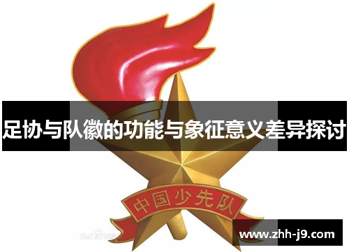 足协与队徽的功能与象征意义差异探讨